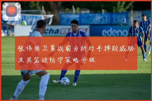 张伟丽卫冕战前分析对手摔跤威胁及其笼边防守策略升级
